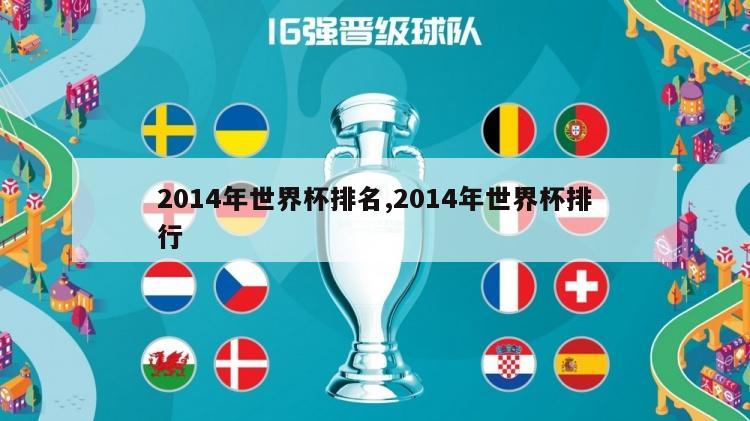 2014年世界杯排名,2014年世界杯排行